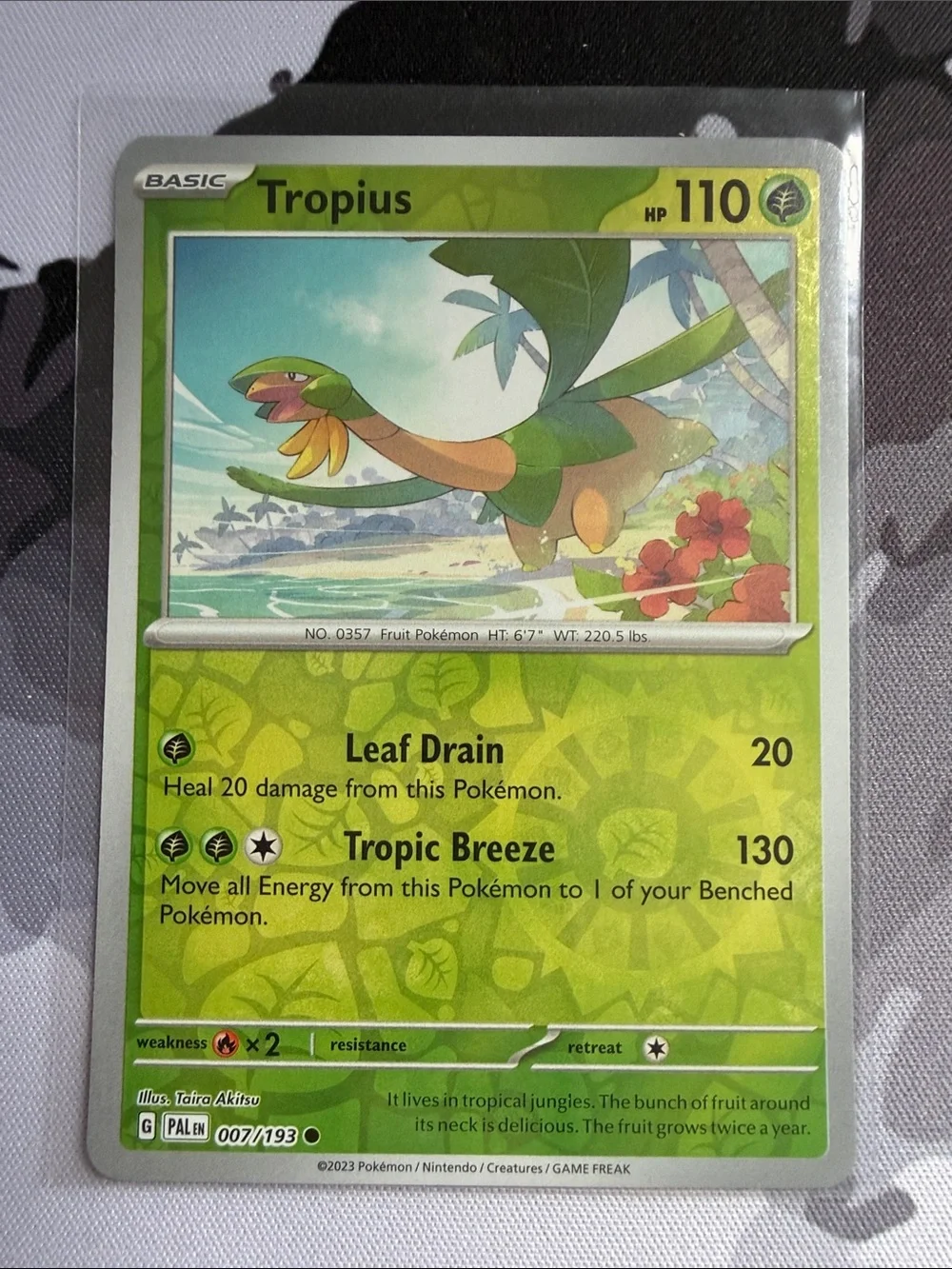 Tropius Pokémon Card Lot 🌴🍌 | 3 Cards ✨5/$25✨